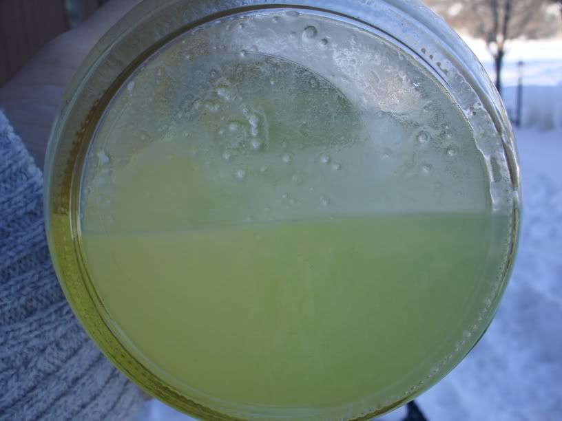 Is my external fuel filter making it easier to have gelled fuel? Ford